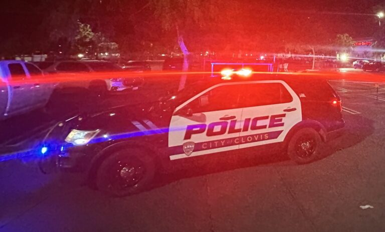 Fatal vehicle vs pedestrian collision