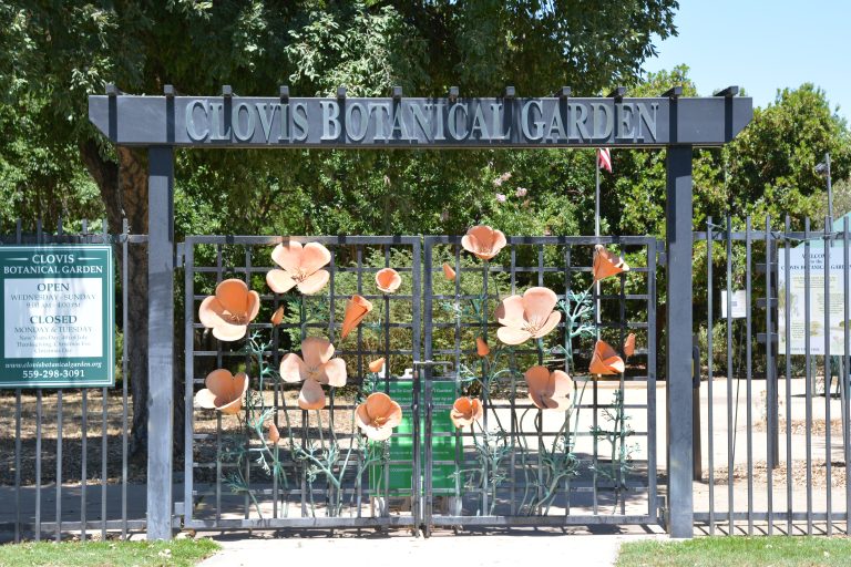 Things to Know and Places to Go in Clovis: Discovering the Botanical Gardens