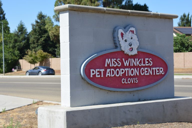 Miss Winkles Pet Adoption Center Sign