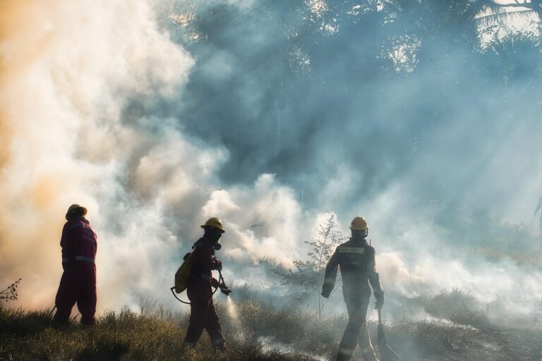 Firefighters make progress on Garnet Fire as storm threat looms