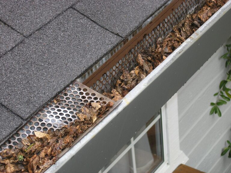 City reminds residents to keep leaves out of gutters as Fall arrives