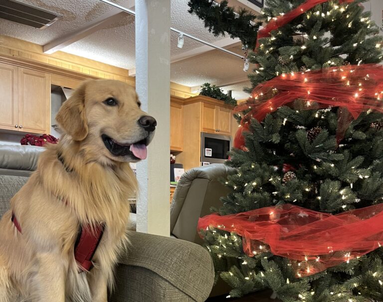 Clovis Appliance prepares for Small Business Saturday with big deals and one very friendly greeter