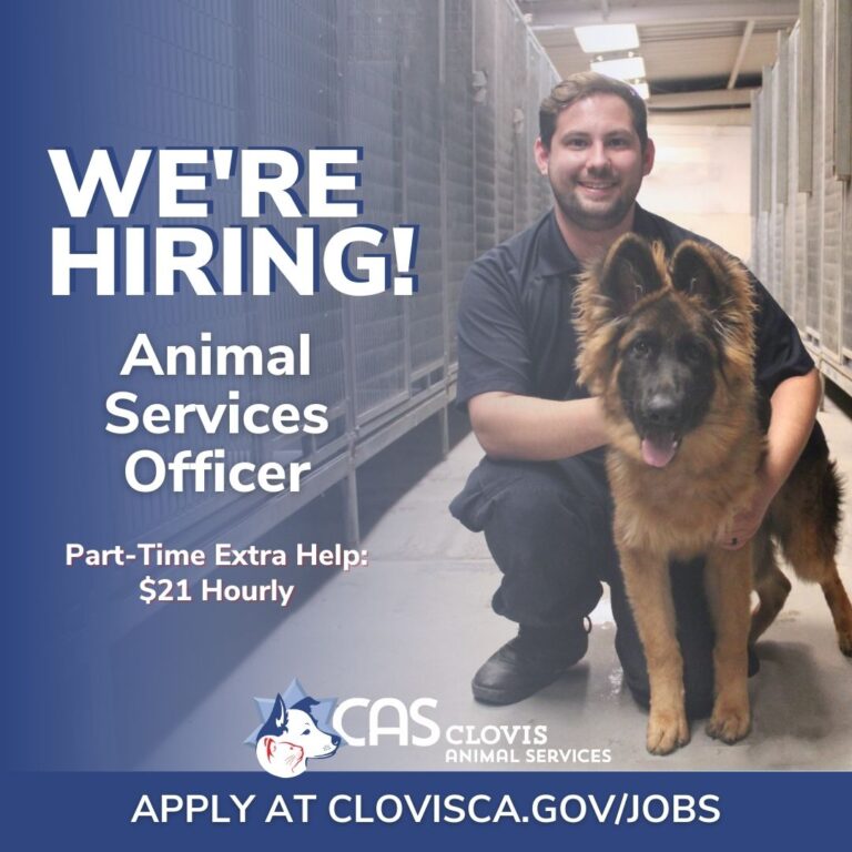 City of Clovis seeking part-time Animal Services Officer to support community and animal care