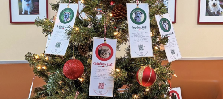 Miss Winkles invites community to help support homeless pets during the holidays